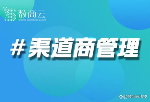 汽車零部件全球供應鏈協同 數商云渠道商管理系統賦能多層級跨國經銷商網絡與貿易代理